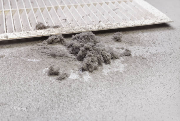 Best Residential Air Duct Cleaning  in Prospect Heights, IL
