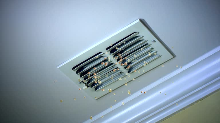 Best Affordable HVAC Duct Cleaning  in Prospect Heights, IL
