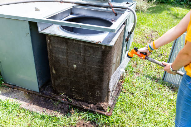 Best Air Vent Cleaning Services  in Prospect Heights, IL