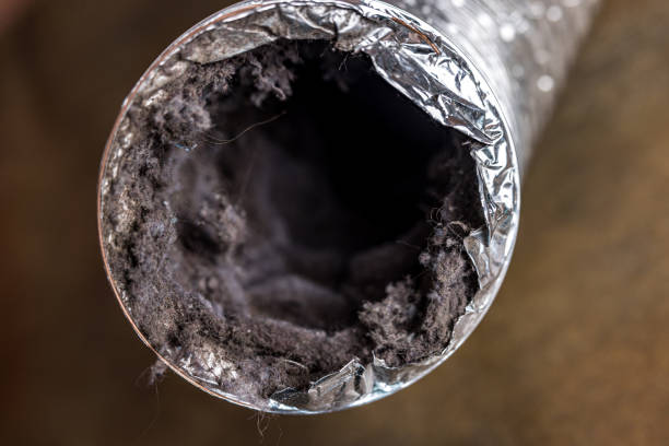 Best Air Duct Cleaning Company Near Me  in Prospect Heights, IL