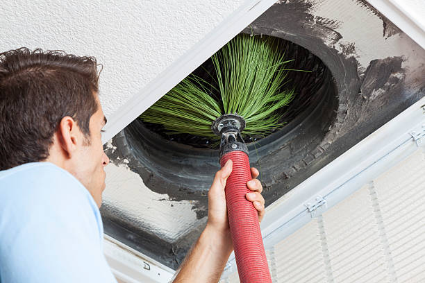 Best Air Duct Cleaning Near Me  in Prospect Heights, IL